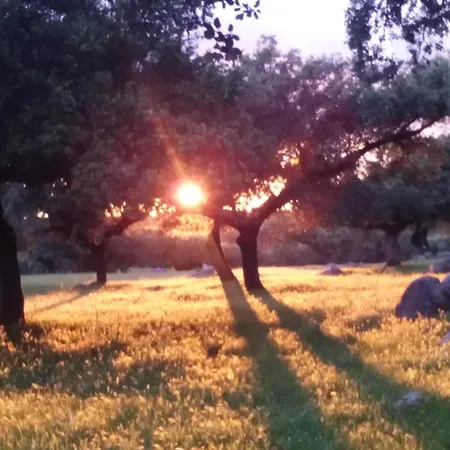 Διαμέρισμα De Heredero Burguillos Del Cerro